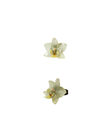 Anello orchidia