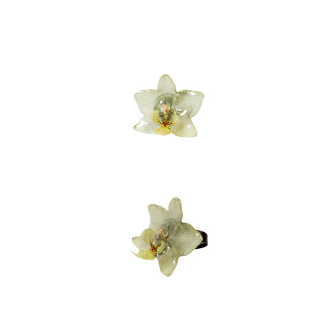 Anello orchidia