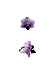 Anello orchidia