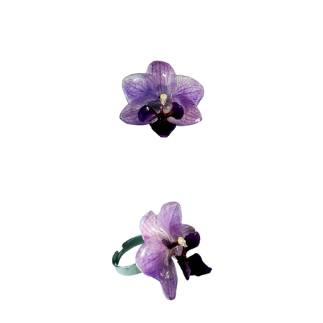 Anello orchidia